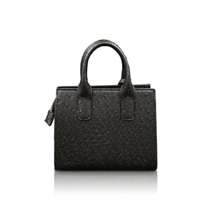 Black ostrich mini bag (limited edition)