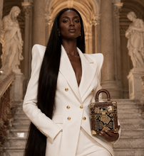 Load image into Gallery viewer, Cobra  trunk mini bag ( limited edition ) ( pre order )